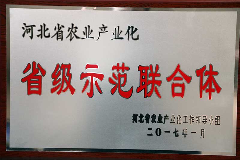 省級示范聯合體